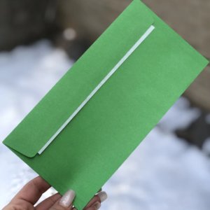 Конверт цветной СКЛ, DL, 80г/м2 - Зеленый