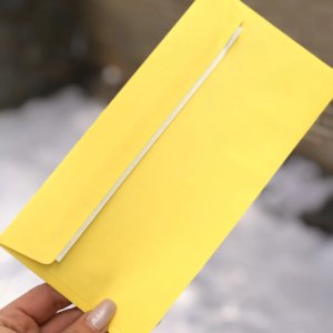 Конверт цветной СКЛ, DL, 80г/м2 - Желтый
